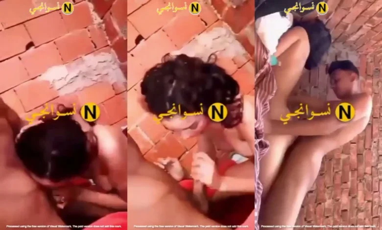 شاب مصري يفلق صديقته فوق سطح الجامعة بعد ما مصت زبه جامد
